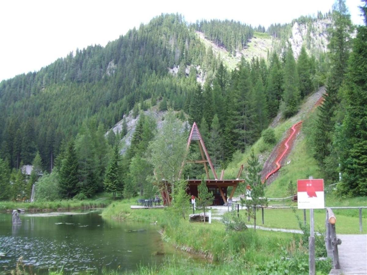 Chalet In Hohentauern With In House Wellness Eksteriør billede