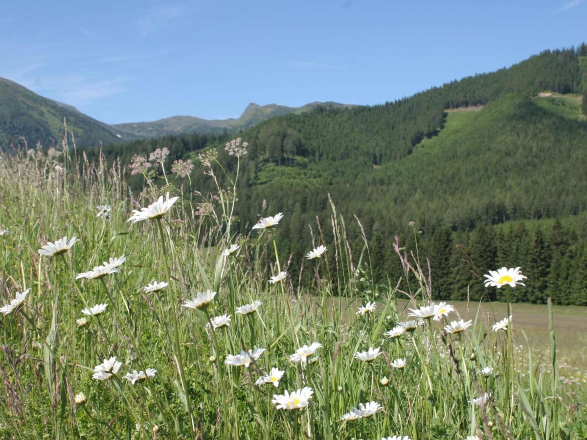 Chalet In Hohentauern With In House Wellness Eksteriør billede